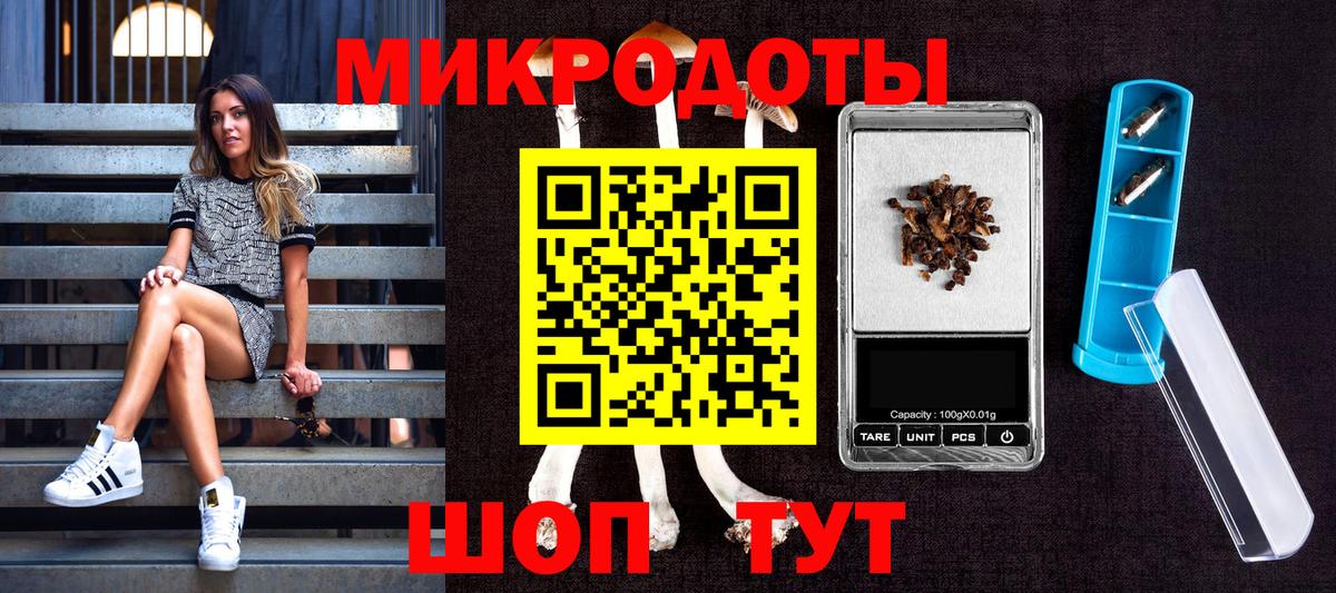 Галлюциногенные грибы MAGIC MUSHROOMS  Вход с VPN  Вольск  Псилоцибиновые грибы Cubensis 
